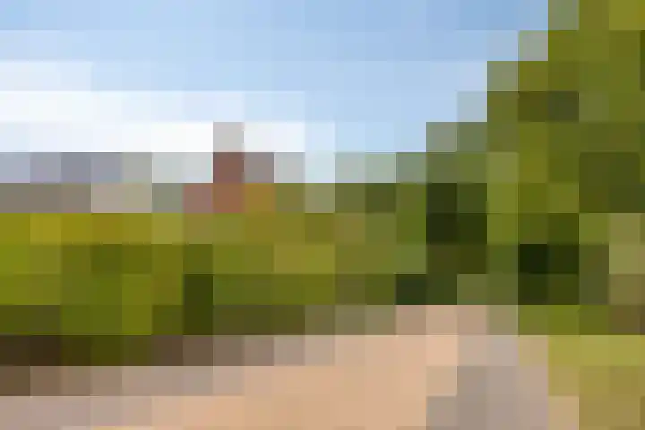 De kiem 2 Oss thumbnail 44