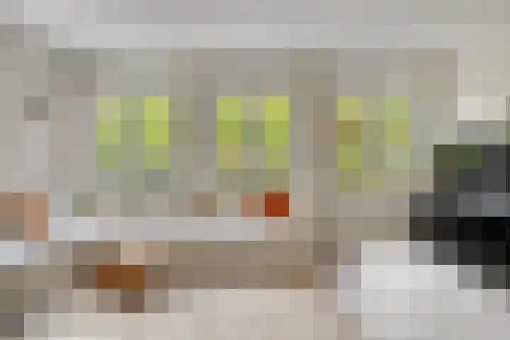 De kiem 2 Oss thumbnail 5