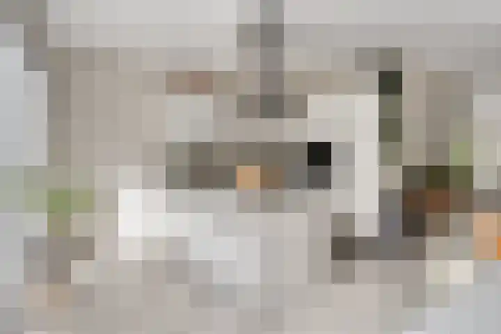 De kiem 2 Oss thumbnail 9