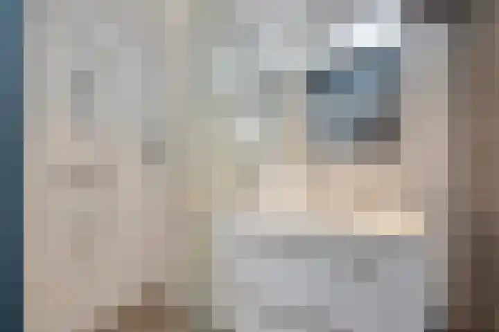 De Kiepe 36 Enschede thumbnail 20