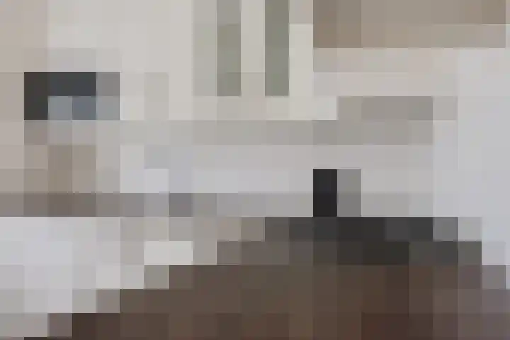 De Kiepe 44 Enschede thumbnail 20