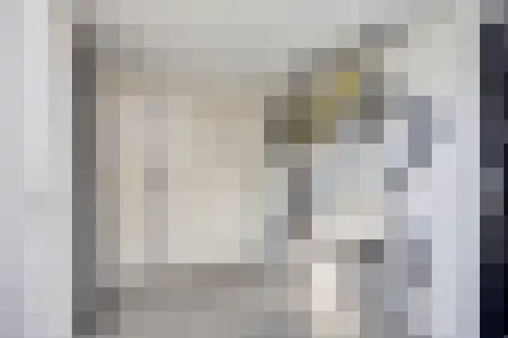 de Kievit 110 Denekamp thumbnail 13