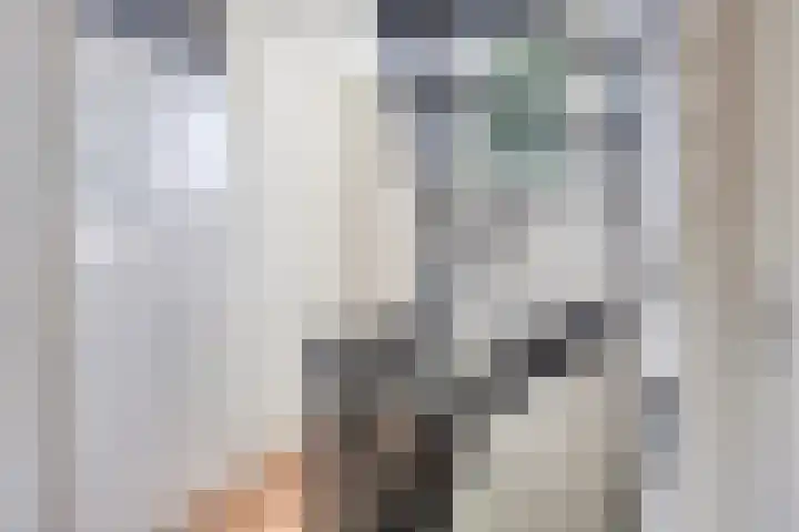 de Kievit 110 Denekamp thumbnail 15