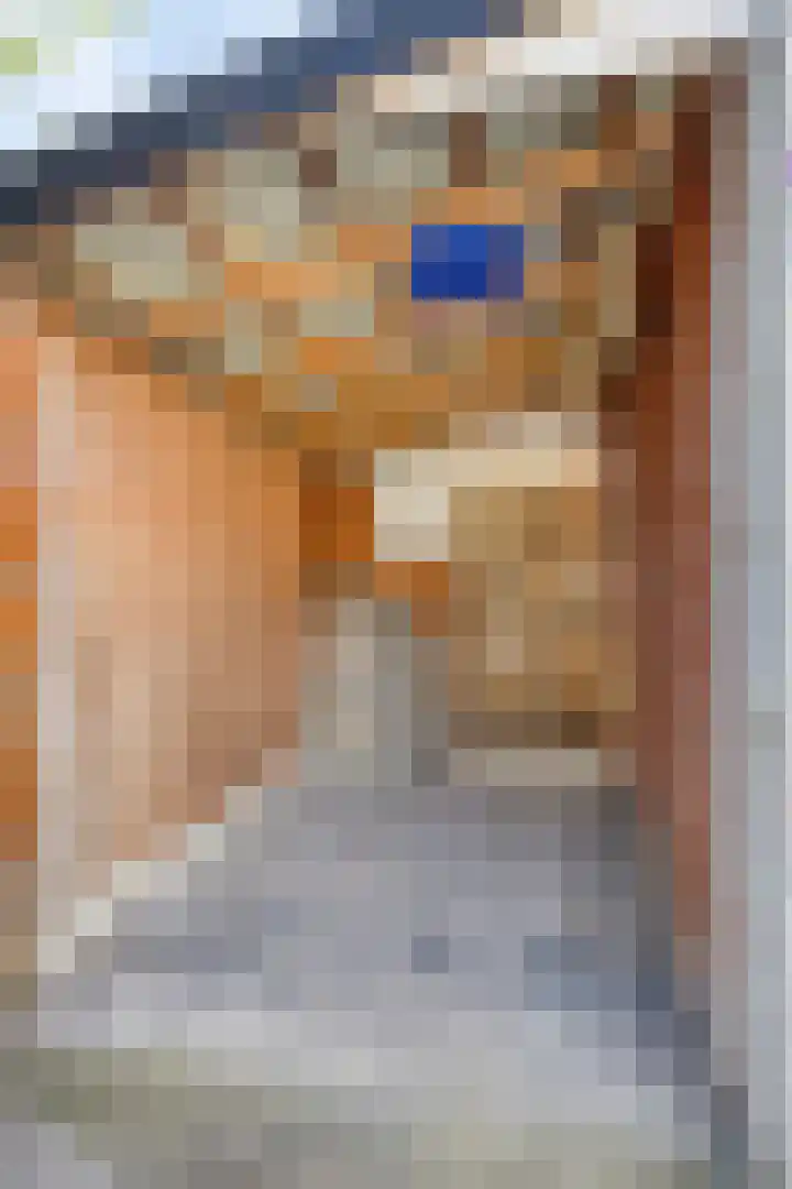 de Kievit 110 Denekamp thumbnail 30