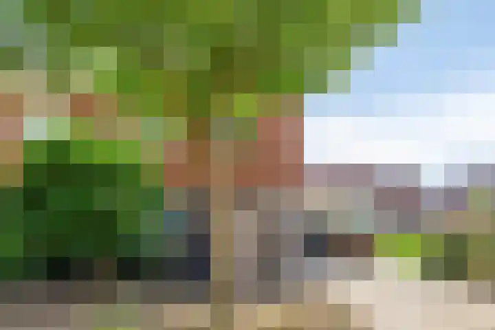 de Kievit 110 Denekamp thumbnail 33