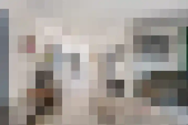 de Kievit 110 Denekamp thumbnail 6