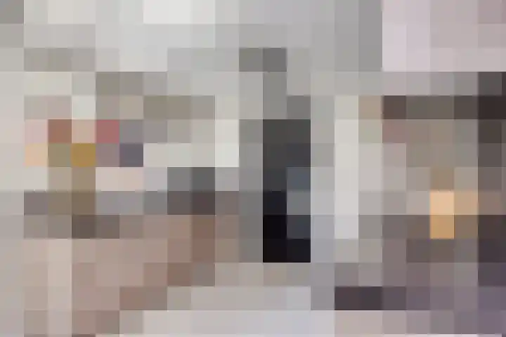 de Kievit 110 Denekamp thumbnail 9