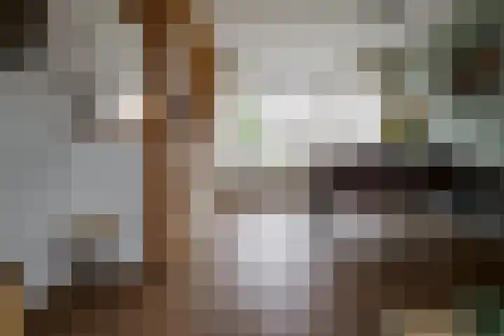 De Kievit 12 Vriezenveen thumbnail 15