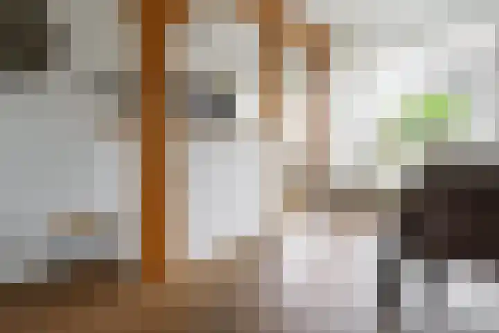 De Kievit 12 Vriezenveen thumbnail 16