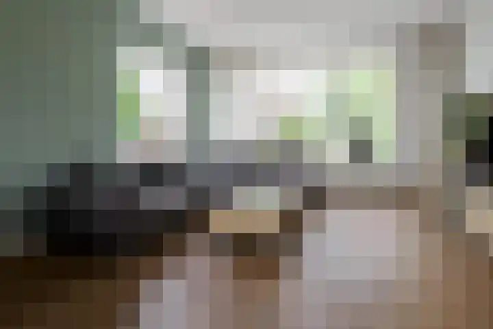 De Kievit 12 Vriezenveen thumbnail 17