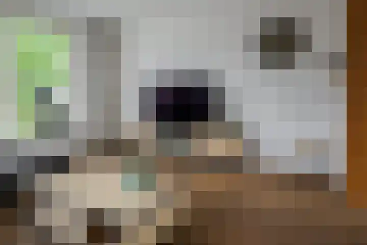 De Kievit 12 Vriezenveen thumbnail 18