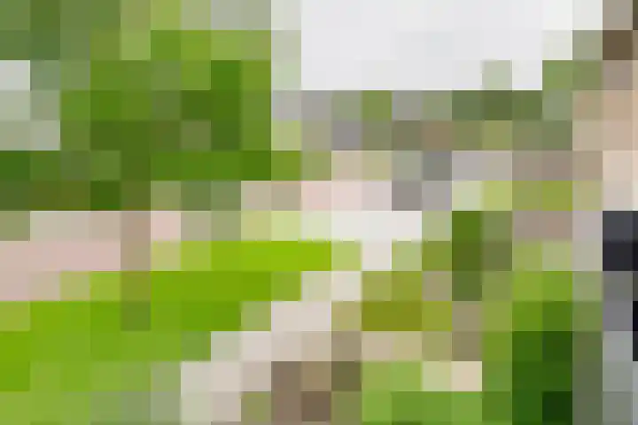 De Kievit 12 Vriezenveen thumbnail 24