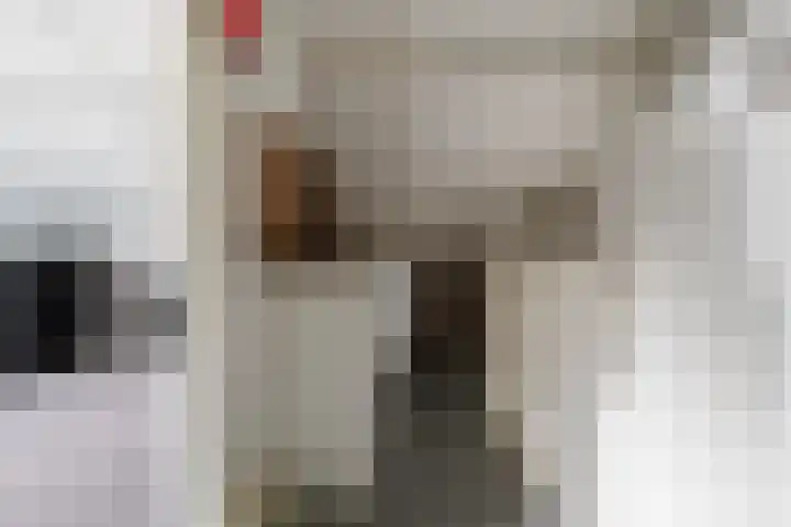 De Kievit 12 Vriezenveen thumbnail 28