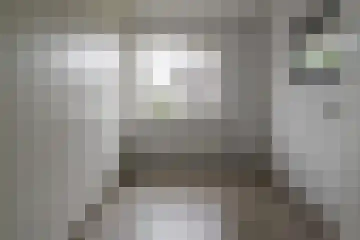 De Kievit 12 Vriezenveen thumbnail 32
