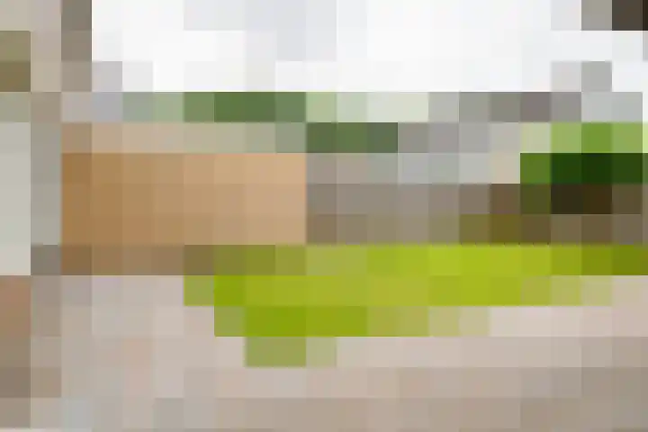 De Kievit 12 Vriezenveen thumbnail 34