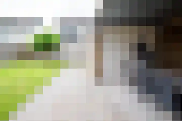De Kievit 12 Vriezenveen thumbnail 35