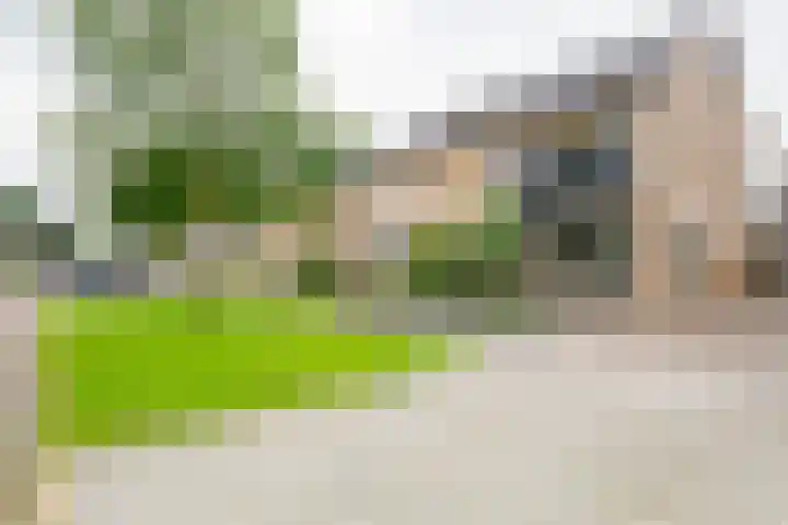 De Kievit 12 Vriezenveen thumbnail 39