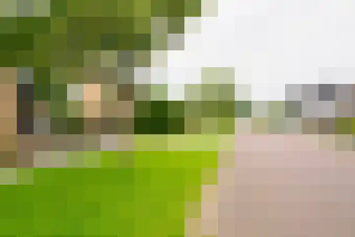 De Kievit 12 Vriezenveen thumbnail 40