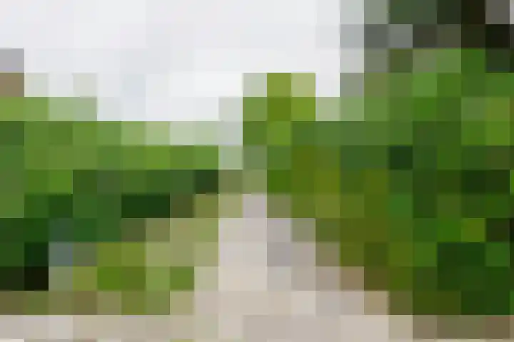 De Kievit 12 Vriezenveen thumbnail 41