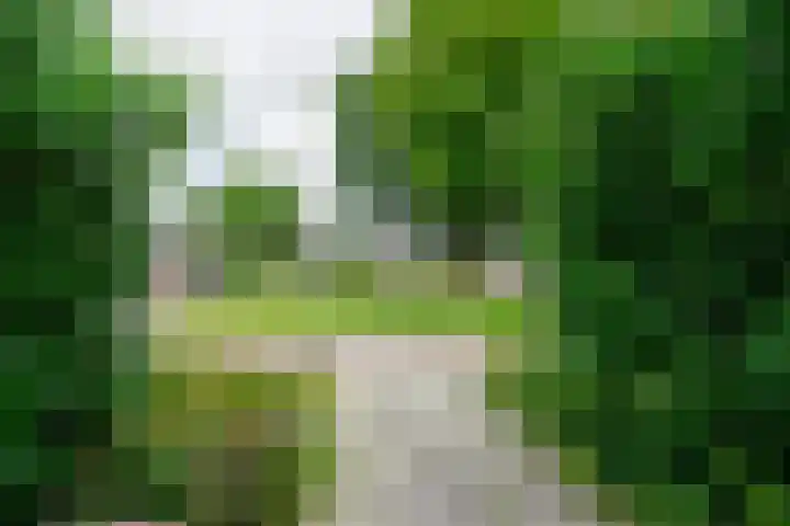 De Kievit 12 Vriezenveen thumbnail 42
