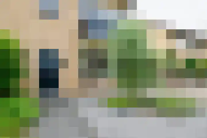 De Kievit 12 Vriezenveen thumbnail 44