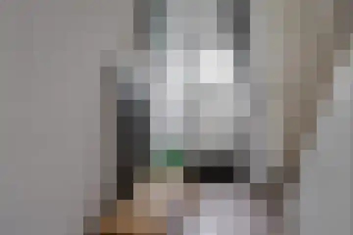 De Kievit 12 Vriezenveen thumbnail 7