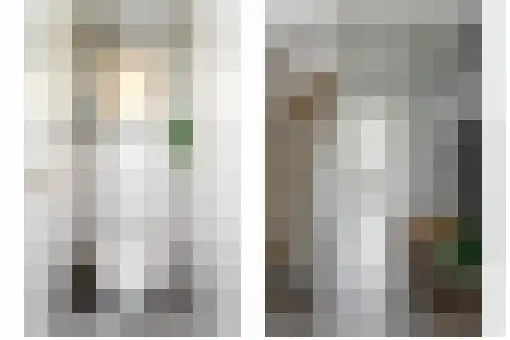 De Kievit 12 Vriezenveen thumbnail 8