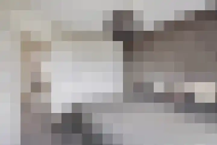 de Kievit 127 Denekamp thumbnail 18