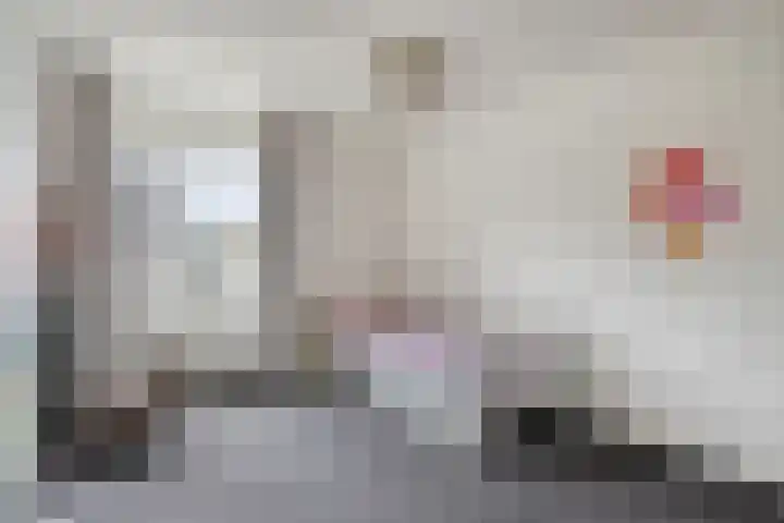 de Kievit 127 Denekamp thumbnail 22
