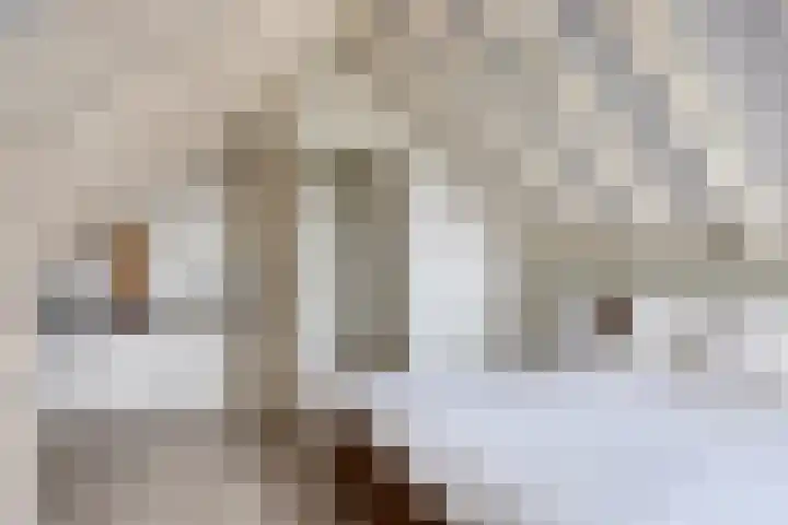 de Kievit 127 Denekamp thumbnail 29
