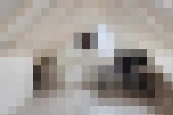 de Kievit 127 Denekamp thumbnail 30