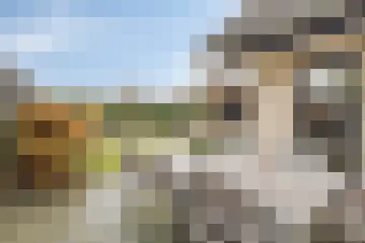 de Kievit 127 Denekamp thumbnail 31
