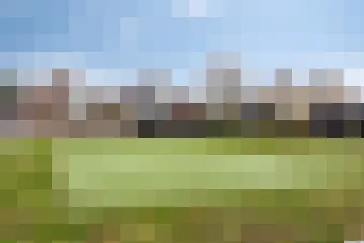 de Kievit 127 Denekamp thumbnail 39