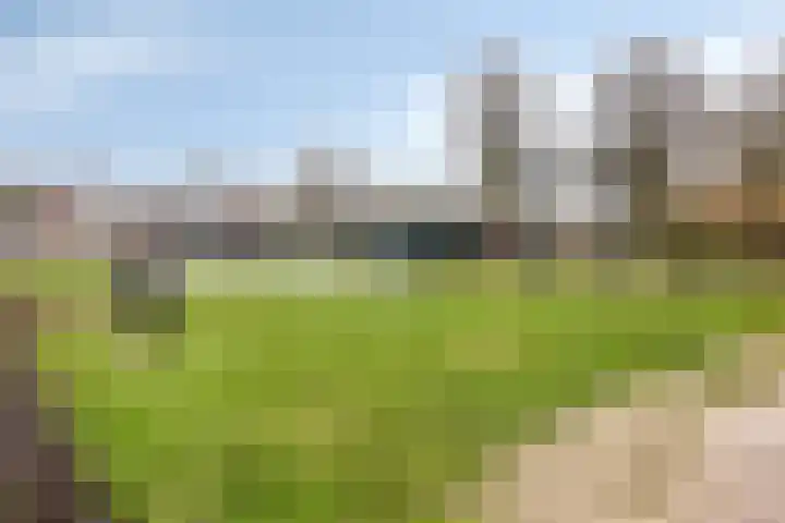 de Kievit 127 Denekamp thumbnail 40