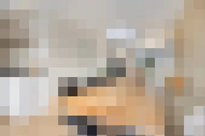 de Kievit 127 Denekamp thumbnail 9
