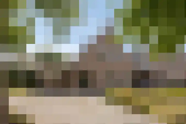 de Kievit 136 B Denekamp