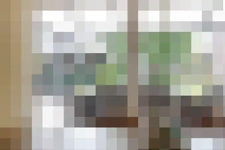 de Kievit 136 B Denekamp thumbnail 10