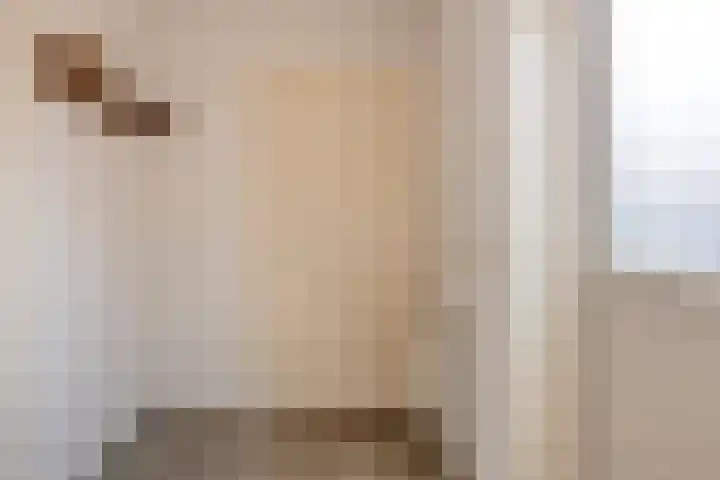 de Kievit 136 B Denekamp thumbnail 13