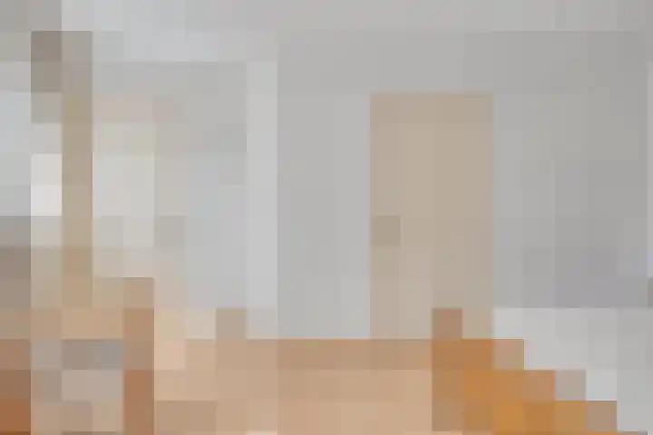de Kievit 136 B Denekamp thumbnail 16