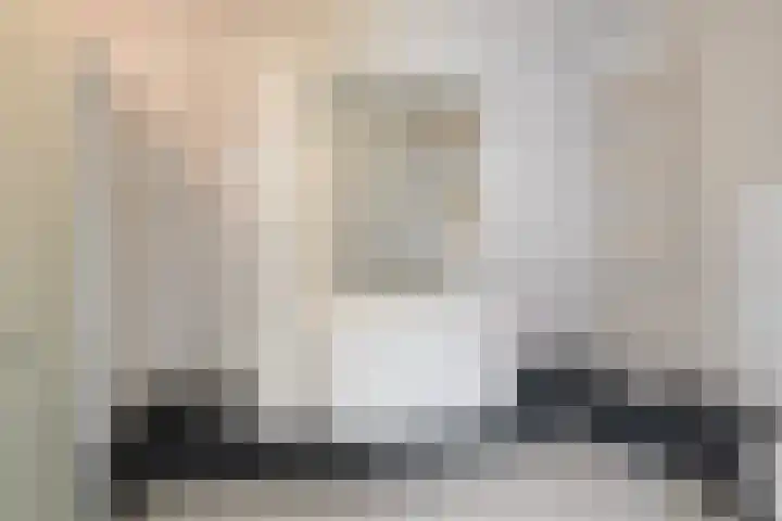 de Kievit 136 B Denekamp thumbnail 17