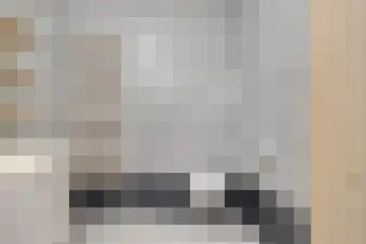 de Kievit 136 B Denekamp thumbnail 19