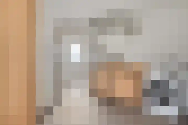 de Kievit 136 B Denekamp thumbnail 21