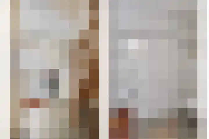 de Kievit 136 B Denekamp thumbnail 23