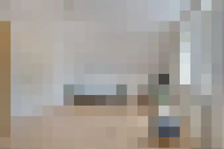 de Kievit 136 B Denekamp thumbnail 25