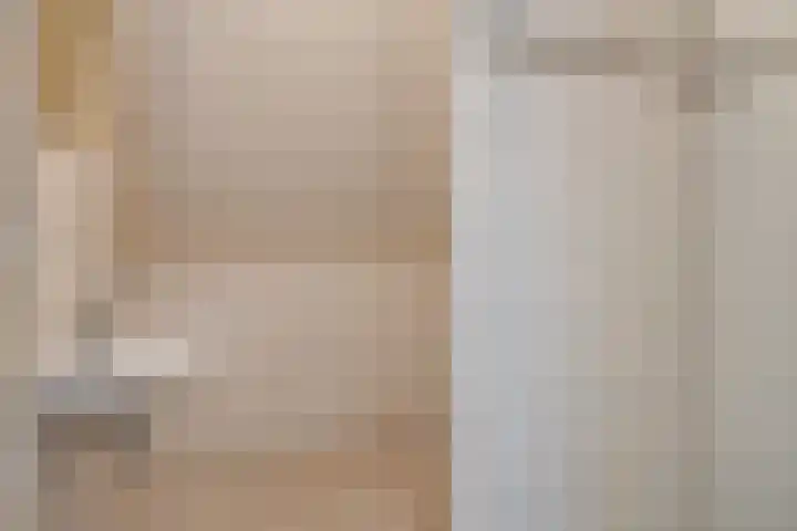 de Kievit 136 B Denekamp thumbnail 26