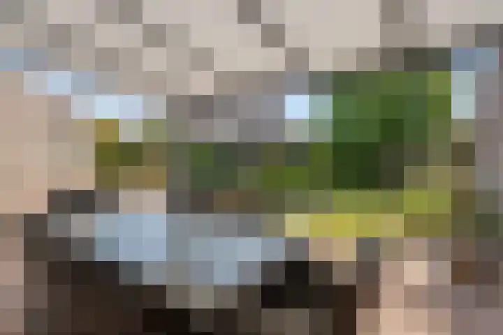 de Kievit 136 B Denekamp thumbnail 30
