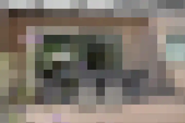 de Kievit 136 B Denekamp thumbnail 31