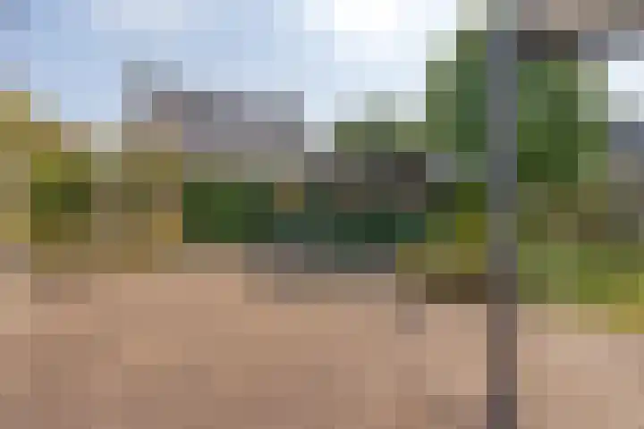 de Kievit 136 B Denekamp thumbnail 32