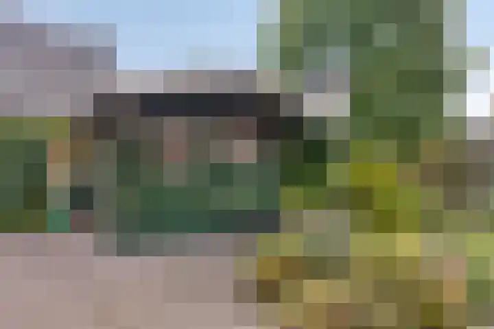 de Kievit 136 B Denekamp thumbnail 33