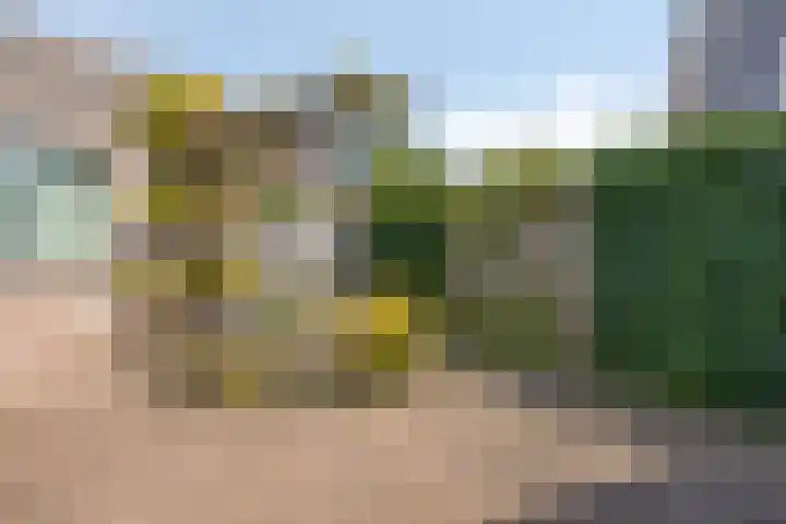 de Kievit 136 B Denekamp thumbnail 34